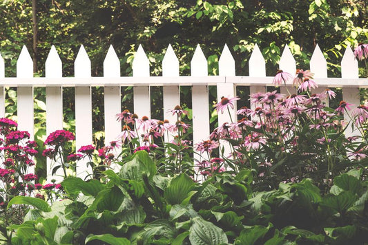 Wooden Fence & Grill